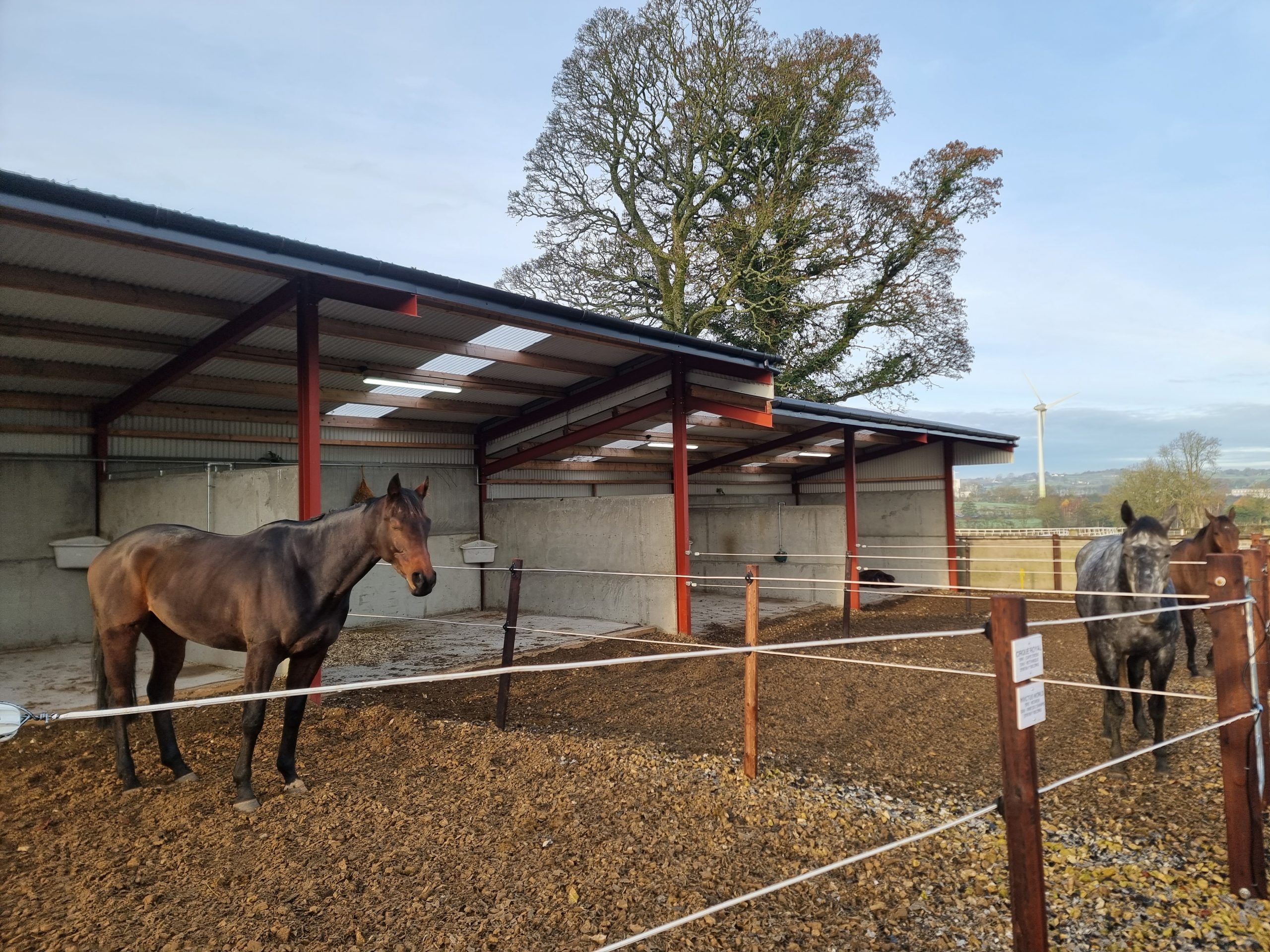 Philip McBurney Racing – a new centre of horse training excellence ...